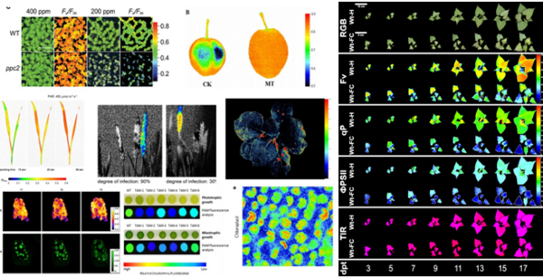 科研仪器以旧换新全面解决方案：光谱成像无人机遥感植物星空中国体育网站表型叶绿素荧光成像能量代谢藻类培养等专业设备(图6)