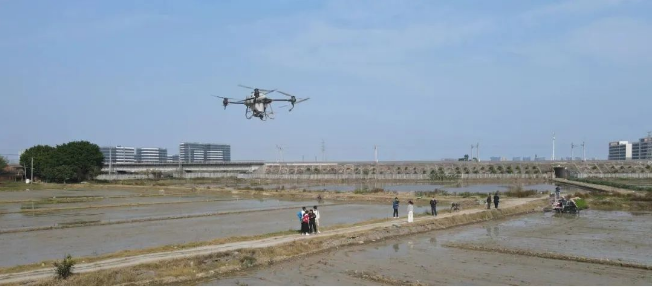 AI+农业一场静悄悄的绿色革命已开始！(图2)