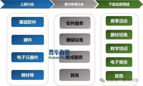 2025-2031年数字体育行业市场调研及发展趋势预测