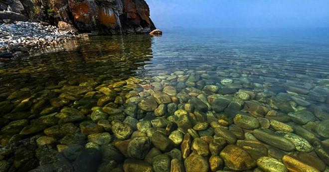 水越清就代表水质越好？水监测的黄金标准这三种丑虫子不简单！