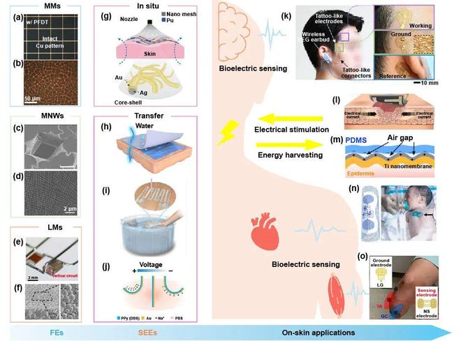 极端制造微纳结构金属电极：从柔性电极迈向超薄软表皮的进展